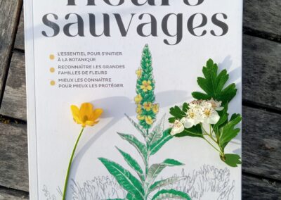 fleurs sauvage livre plantes lucile chapsal